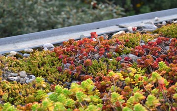 the cost of Goathurst green roof installation