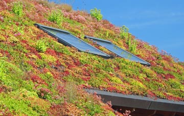 Goathurst living roof systems