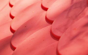 Goathurst plastic roof costs