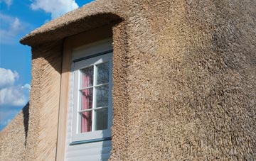 Goathurst thatch roof disadvantages