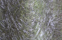 Goathurst fibreglass roof work